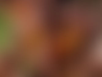 Livro reúne receitas e memórias de 10 refugiados africanos em São Paulo