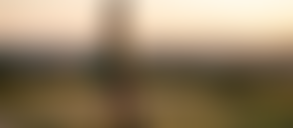 Mulher sozinha serena com sua mochila