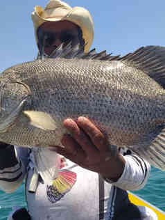 guia-de-pesca-alemao-051120kjpeg