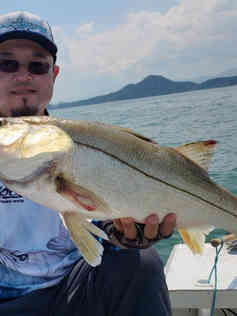 guia-de-pesca-salt-water-01jpeg