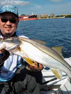 guia-de-pesca-salt-water-05jpeg