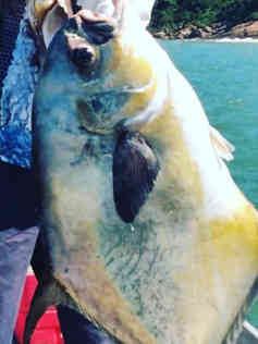 guia-de-pesca-mumu-03.jpeg
