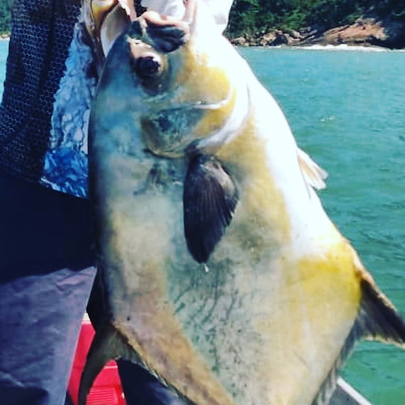 Guia de Pesca | Cubatão | Mumú