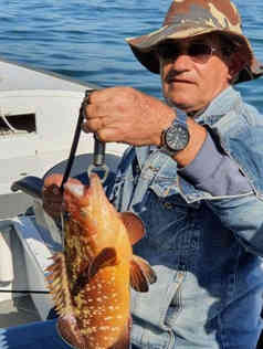 guia-de-pesca-marcelo-serafim-0408-10jp