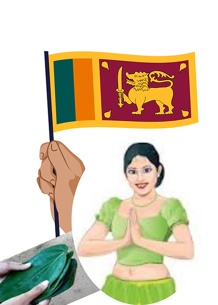 Untitled design (27).png