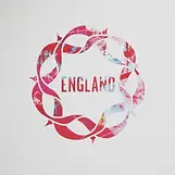 eng.webp