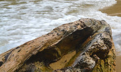 Parque Tayrona
