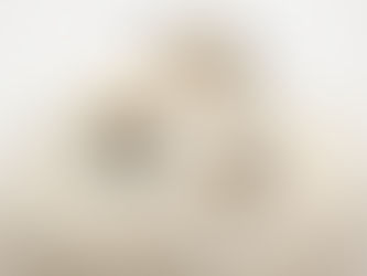 Cindy Wu's "Rising" Collection: A Celebration of Growth and Vitality