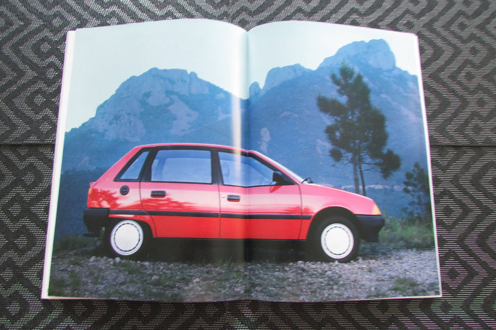 Miniature : Catalogue gamme Citroen AX   08/1987 .