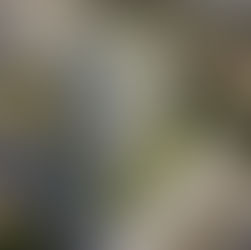 רכישת דירה מקבלן - כל מה שצריך לדעת