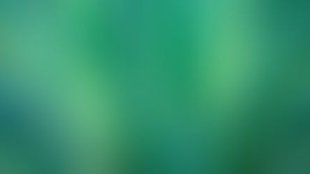 Botany/Plant Sciences BSc