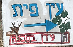 מיכל ליבדי