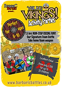 Young Vikings Party Flyer.png
