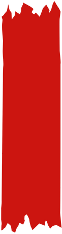 Image Asset_Wixel_edited.png
