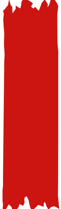 Image Asset_Wixel.png