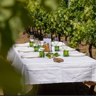 diner au mileu des vignes de Figari