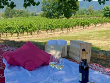 Franciacorta.jpeg