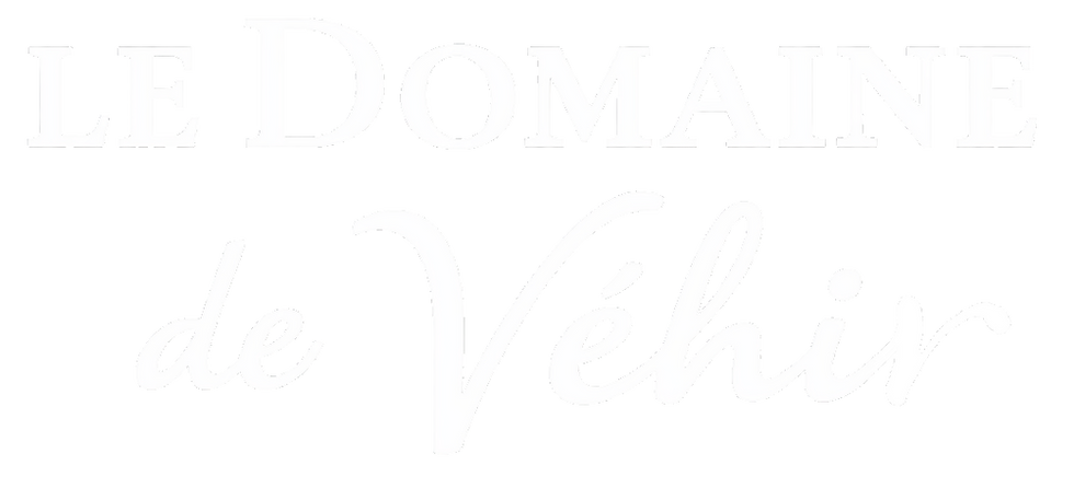 logo blanc simple