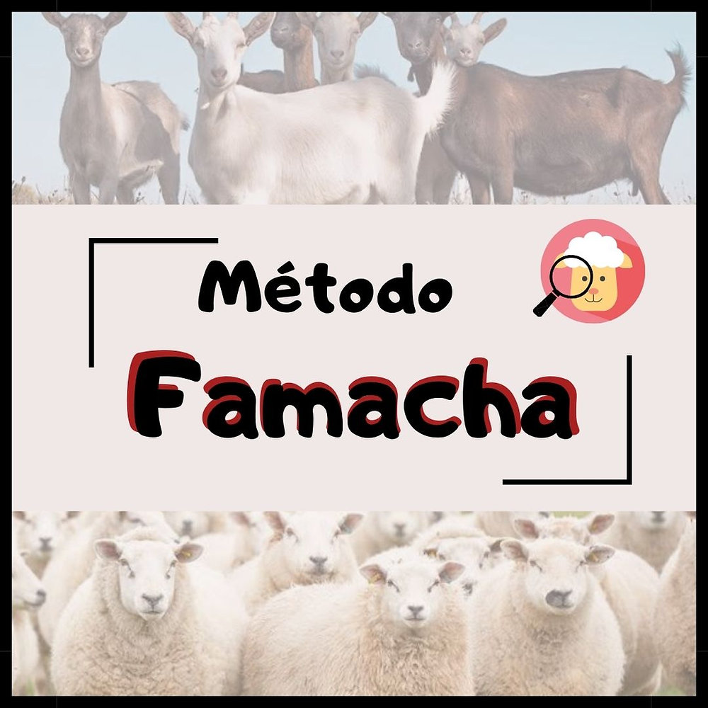 Famach Envelopes Método Famacha. Conhece