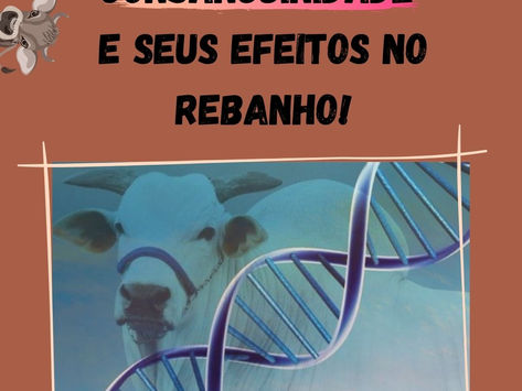Consanguinidade e seus efeitos no rebanho