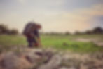 Capture_0005.jpg