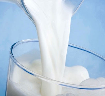 Etichettatura degli alimenti: "senza lattosio" e "a ridotto tenore di lattosio" 