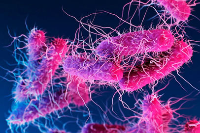 Food safety: Alimenti conformi ma non sicuri: 2 recenti sentenze della Corte di giustizia