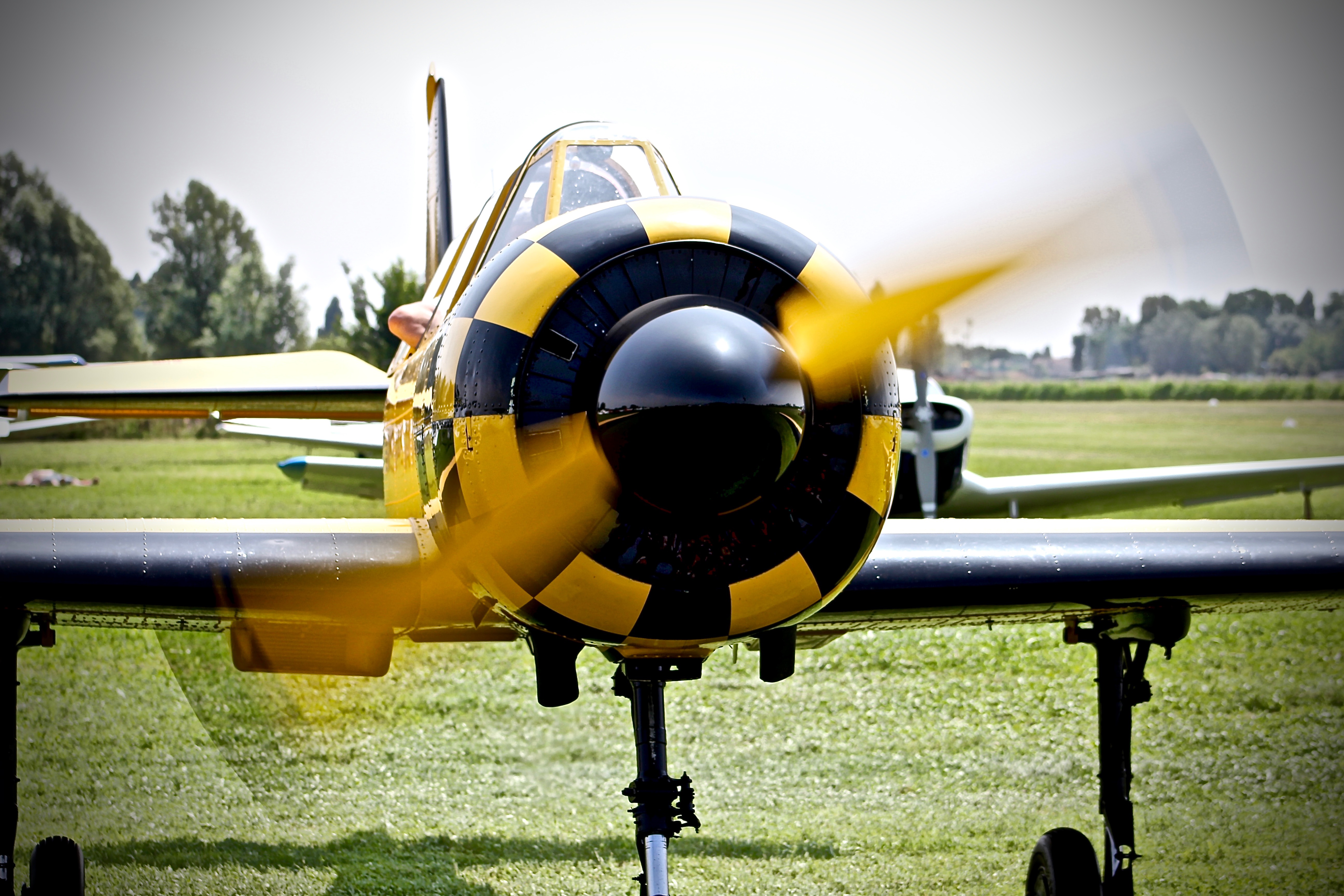 YAK 52, pilota Marco Marziali