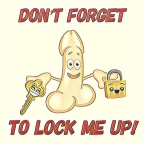 moodTime BDSM Cock Lock Down