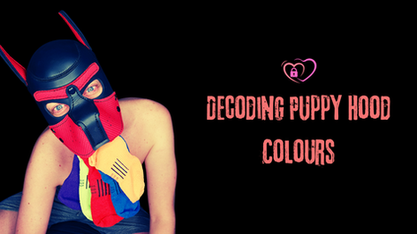 Decoding Puppy Hood Colours and Their Significance