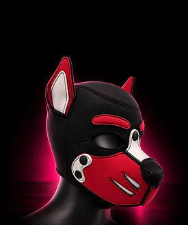 Dramatic Pup Hood in Pink Light
