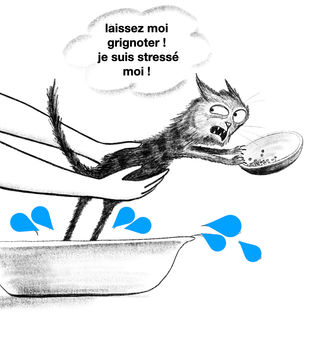 La « gestion » du stress par la suralimentation :