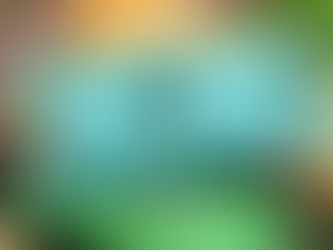 SEMCAP BUYS INTO THE NEXT PHASE OF ALOHA'S GROWTH, INVESTING NEARLY $70 MILLION FOR A SIGNIFICANT MINORITY STAKE