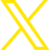 a_x_logo.png