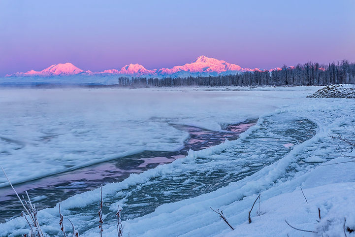 winter denali.jpg