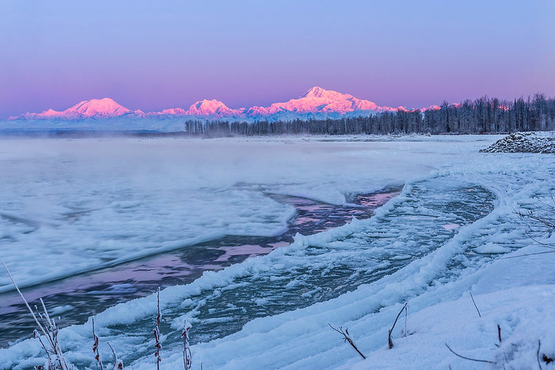 winter denali.jpg