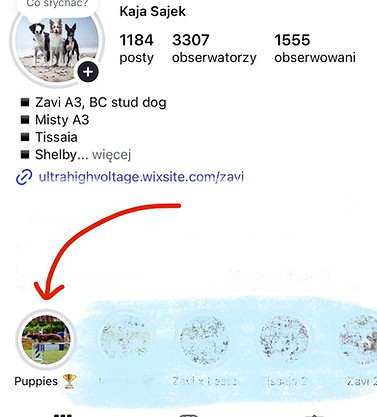 rj2XgnGD.jpeg