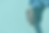marten-bjork-6dW3xyQvcYE-unsplash.png