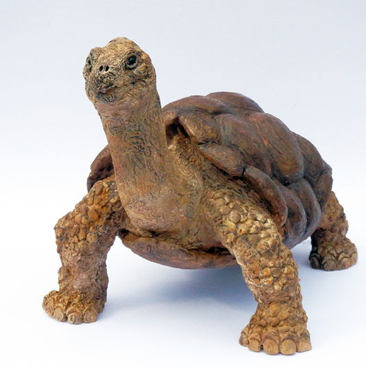 visuel sculpture tortue géante