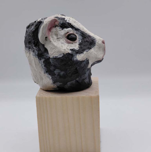 VISUEL D'UN MINI BUSTE DE COCHON D'INDE