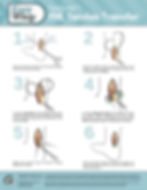 MKT504_A EasyGuide FHL Tendon Transfer.jpg