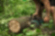 man-with-chainsaw-cuts-tree (1).jpg
