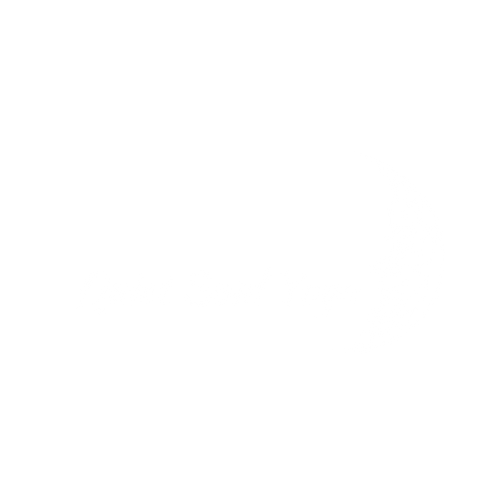 quiet soul yoga (2).png