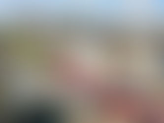 400 ans, marché des Lices