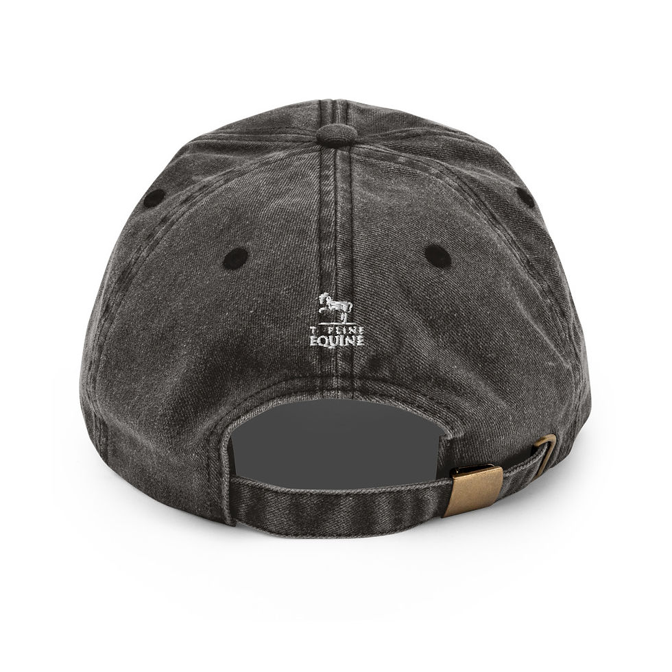Thumbnail: been there jumped that equestrian hat