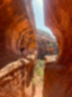 Rooted and Rising: A Sedona Retreat. A Journey into Presence, Connection & Bold Becoming