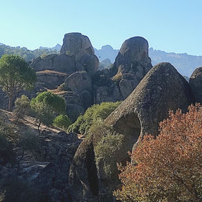 Latmos Patikalarında Cansızlığın Coşkusu