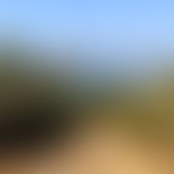 Latmos İkizcelere Yürüyüş 