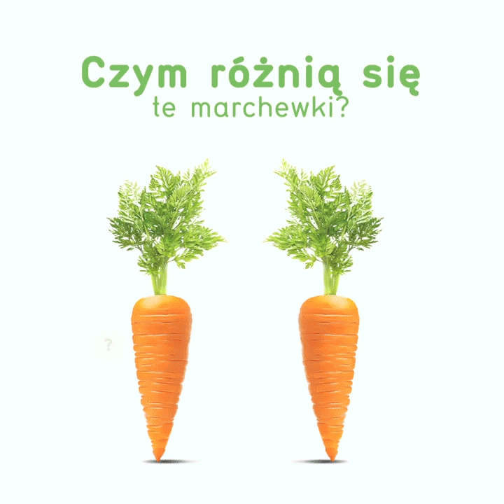 bobovita_marchewka_04.gif