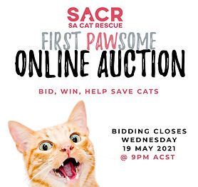 0. Cover Image 3.jpg